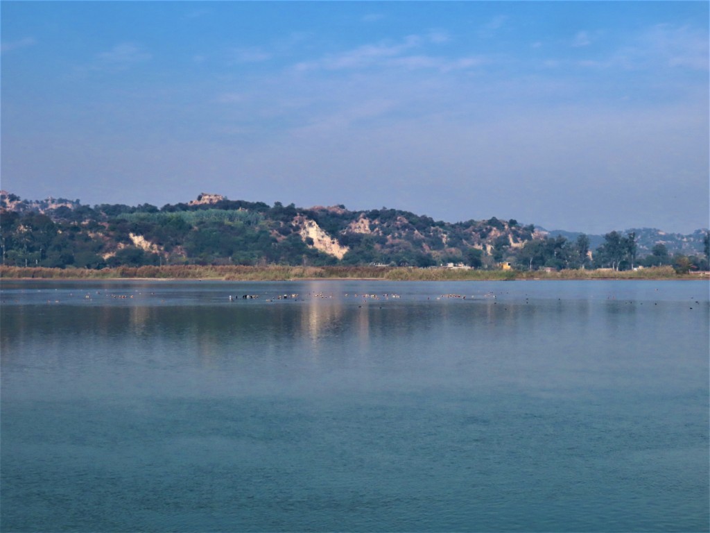 The Wetlands Of Punjab